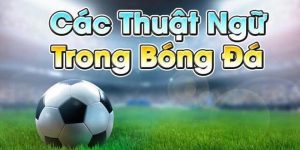 Thuật Ngữ Bóng Đá Kubet88